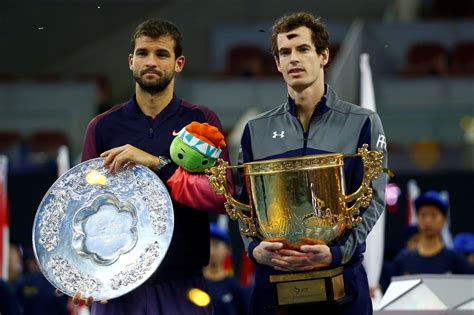 grigor dimitrov mirror repair.